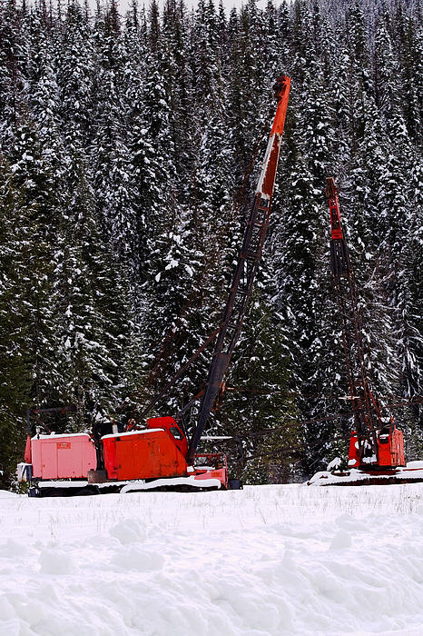 Derelicts in the Snow - Photograph Photograph